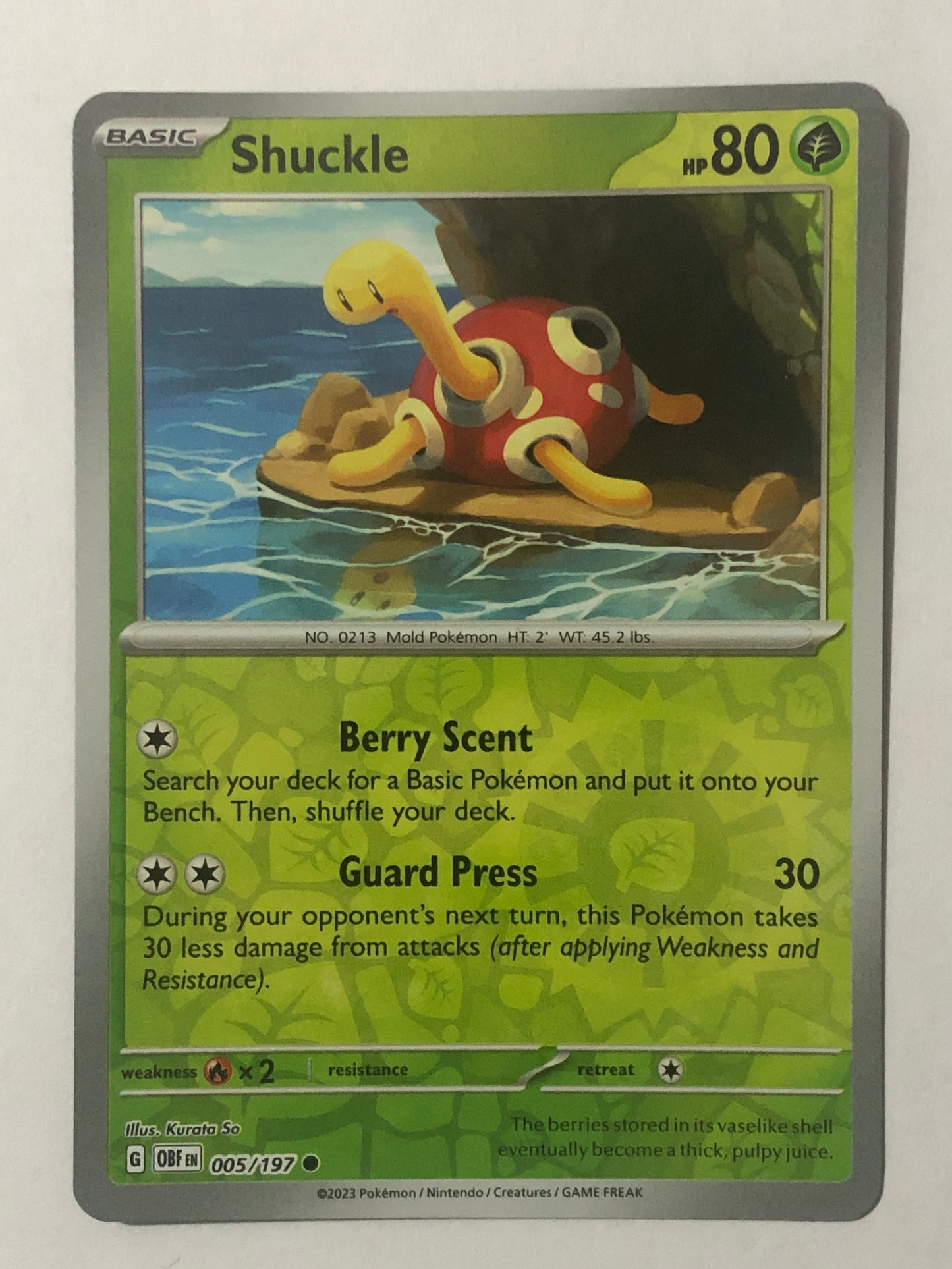 005 - Shuckle - Reverse Holo