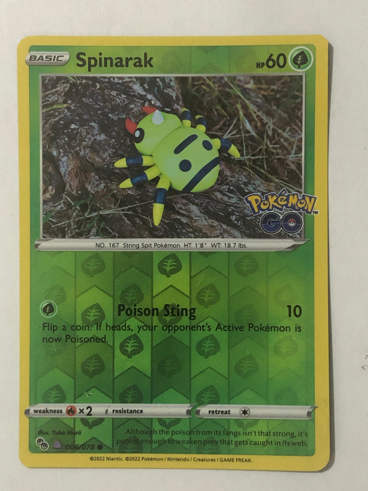 006 - Spinarak - Ditto