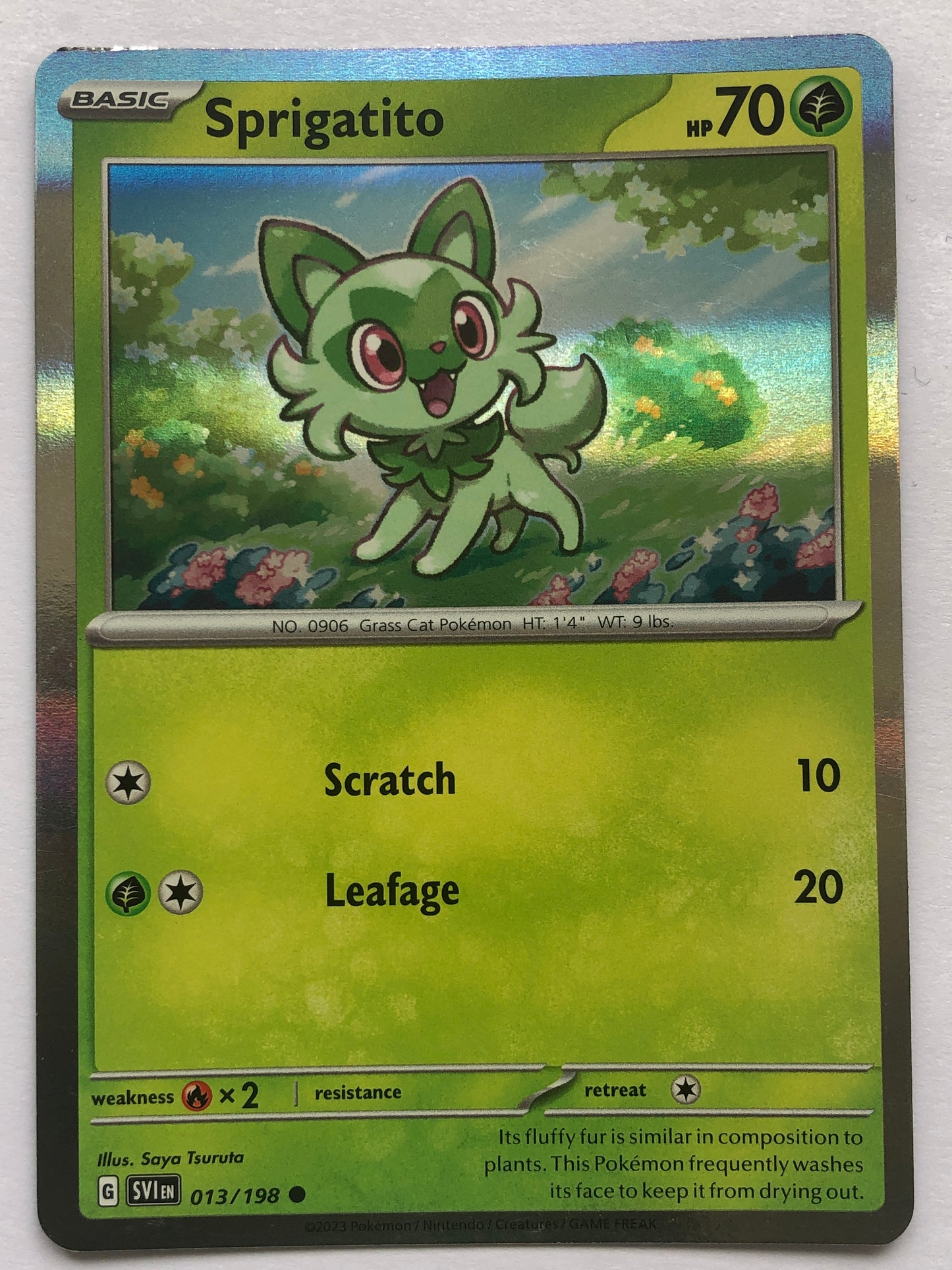 013 - Sprigatito - Holo