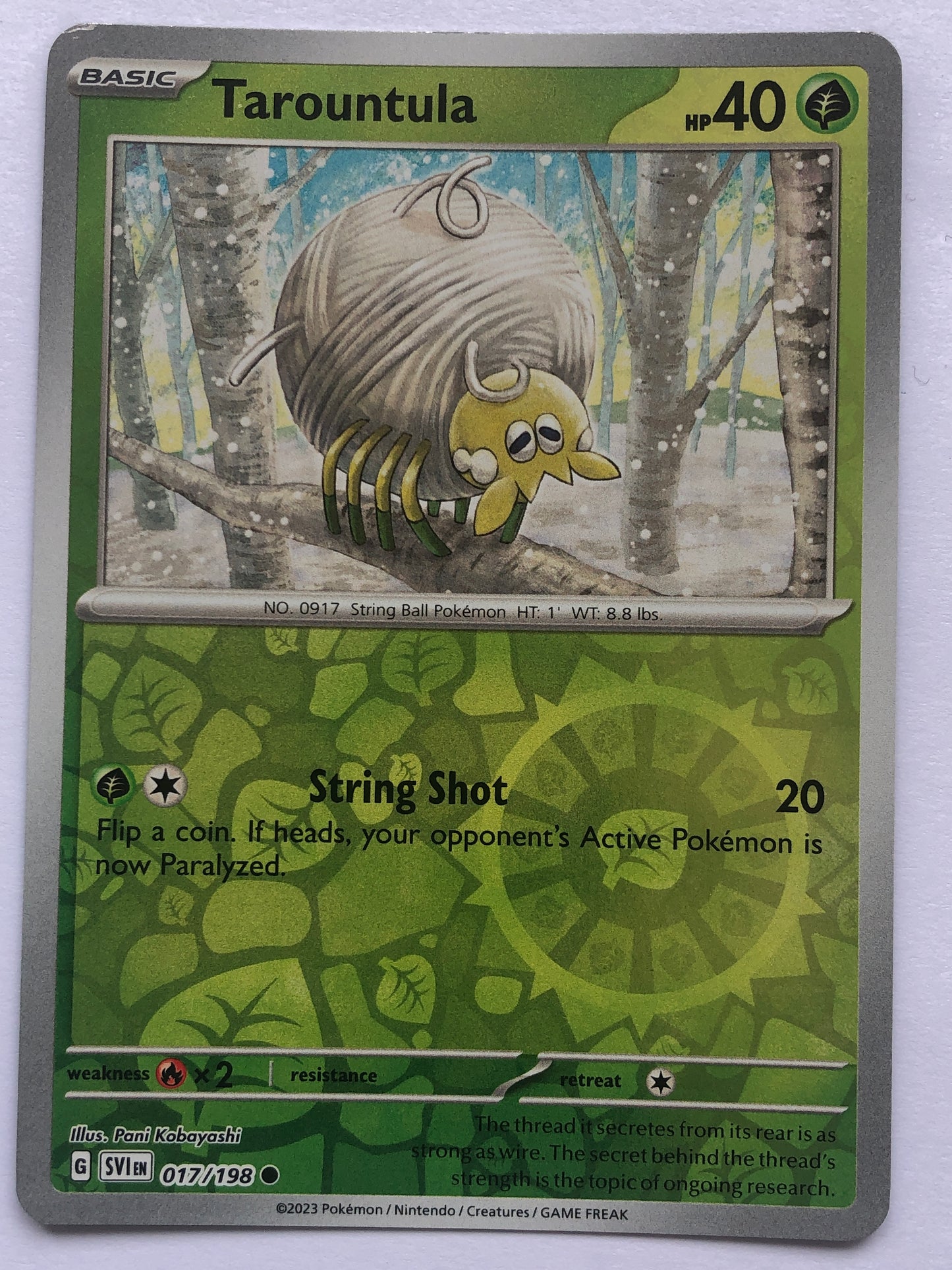 017 - Tarountula - Reverse Holo