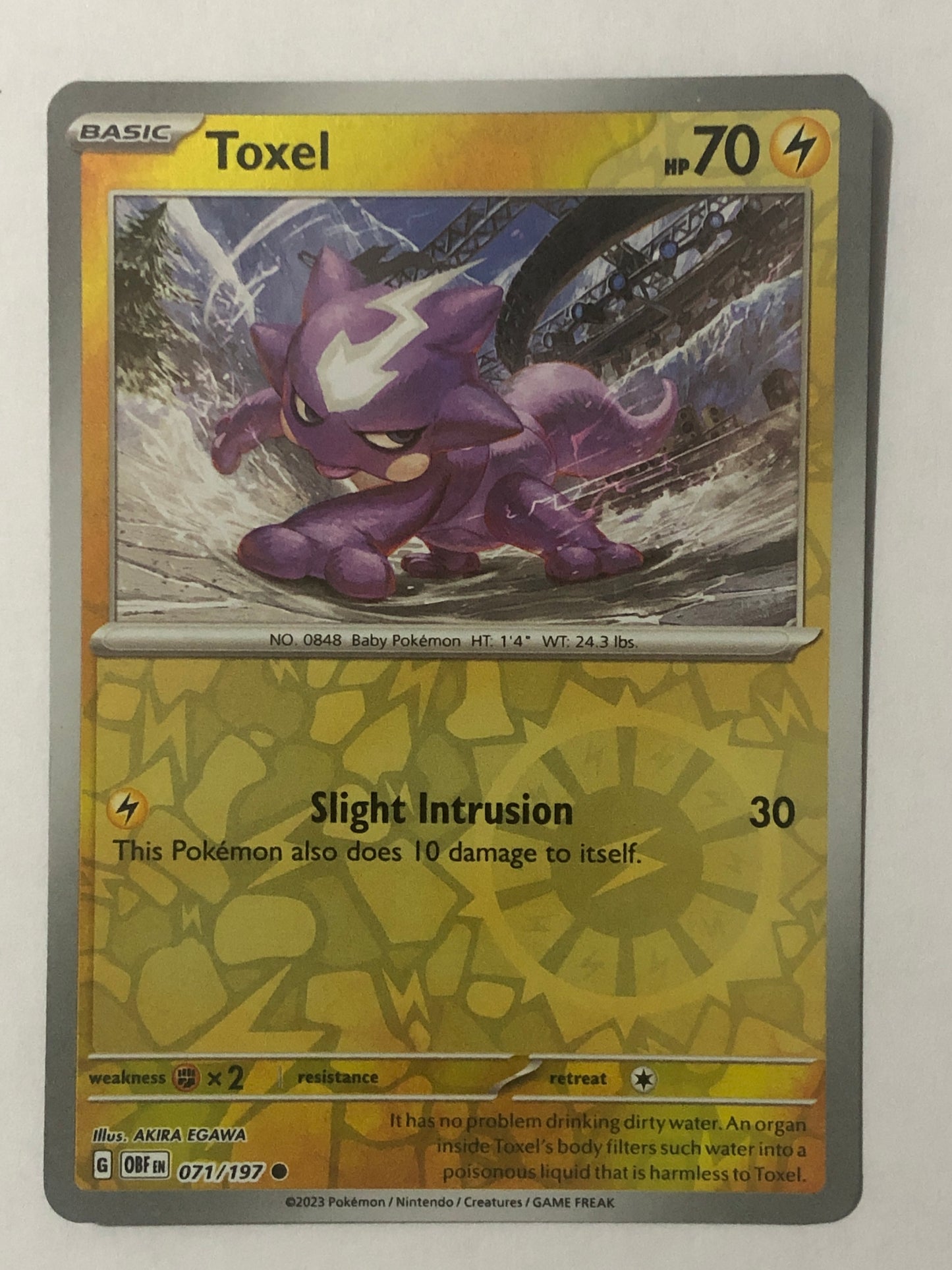 071 - Toxel - Reverse Holo