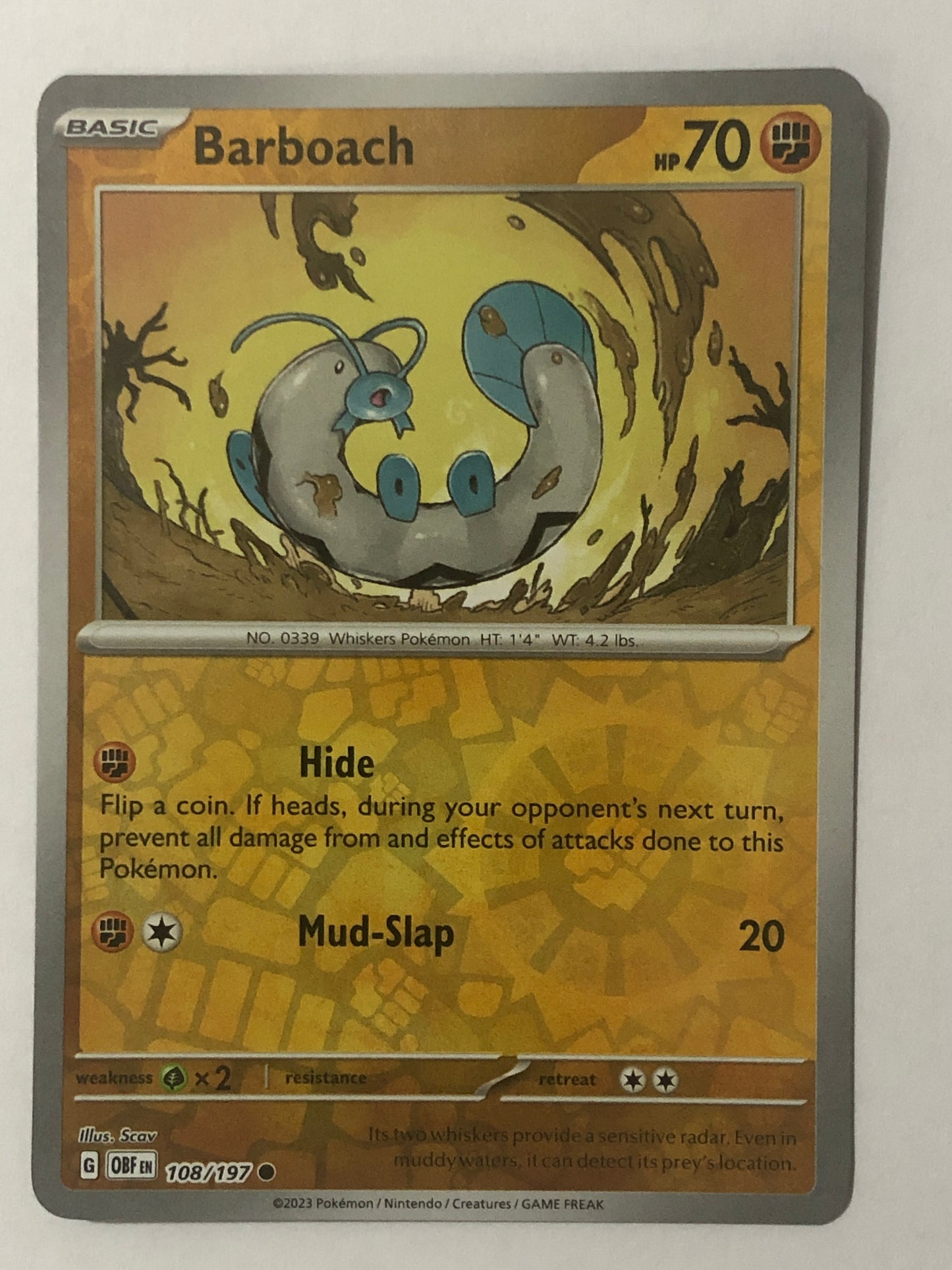108 - Barboach - Reverse Holo
