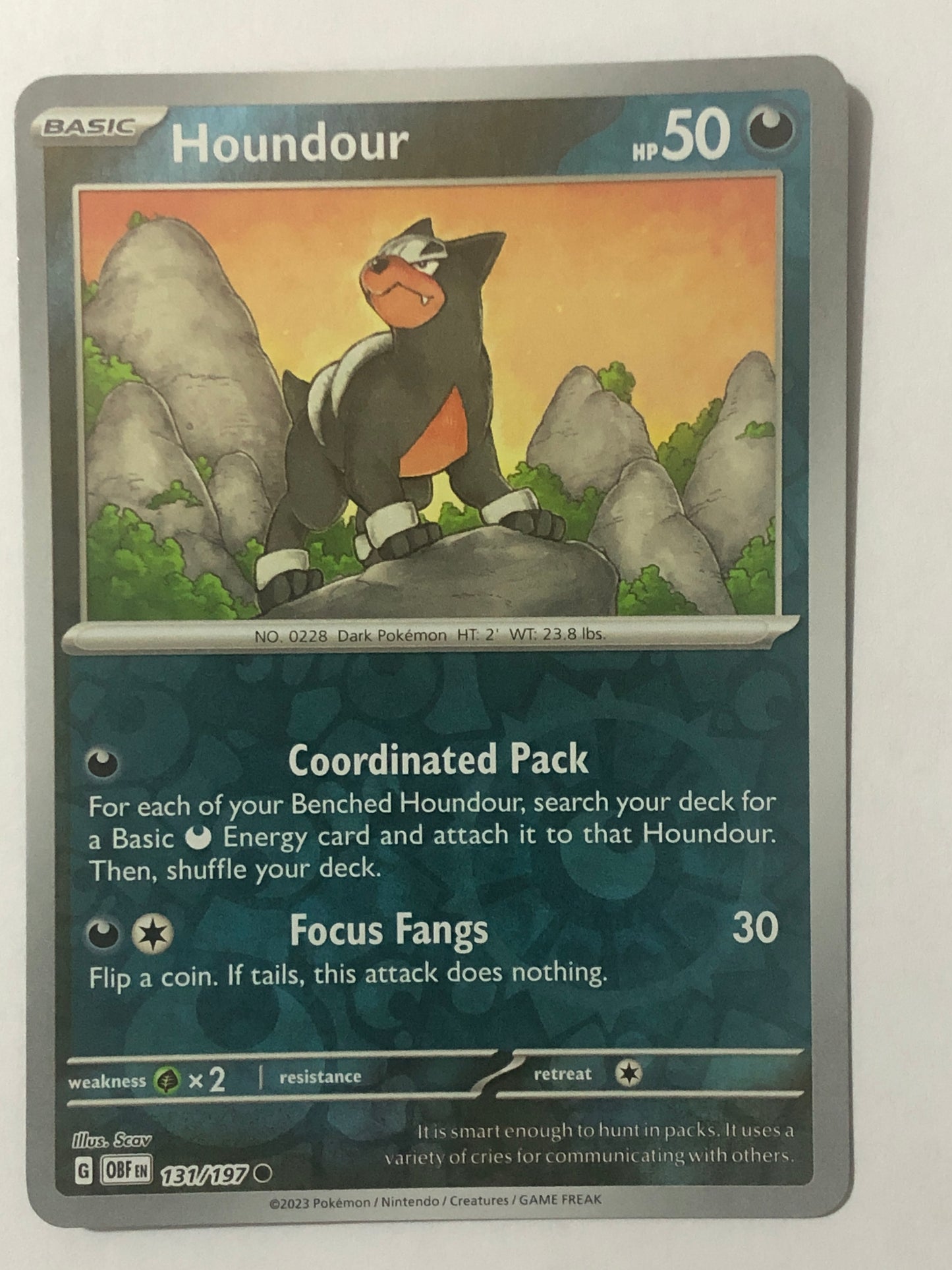 131 - Houndour - Reverse Holo