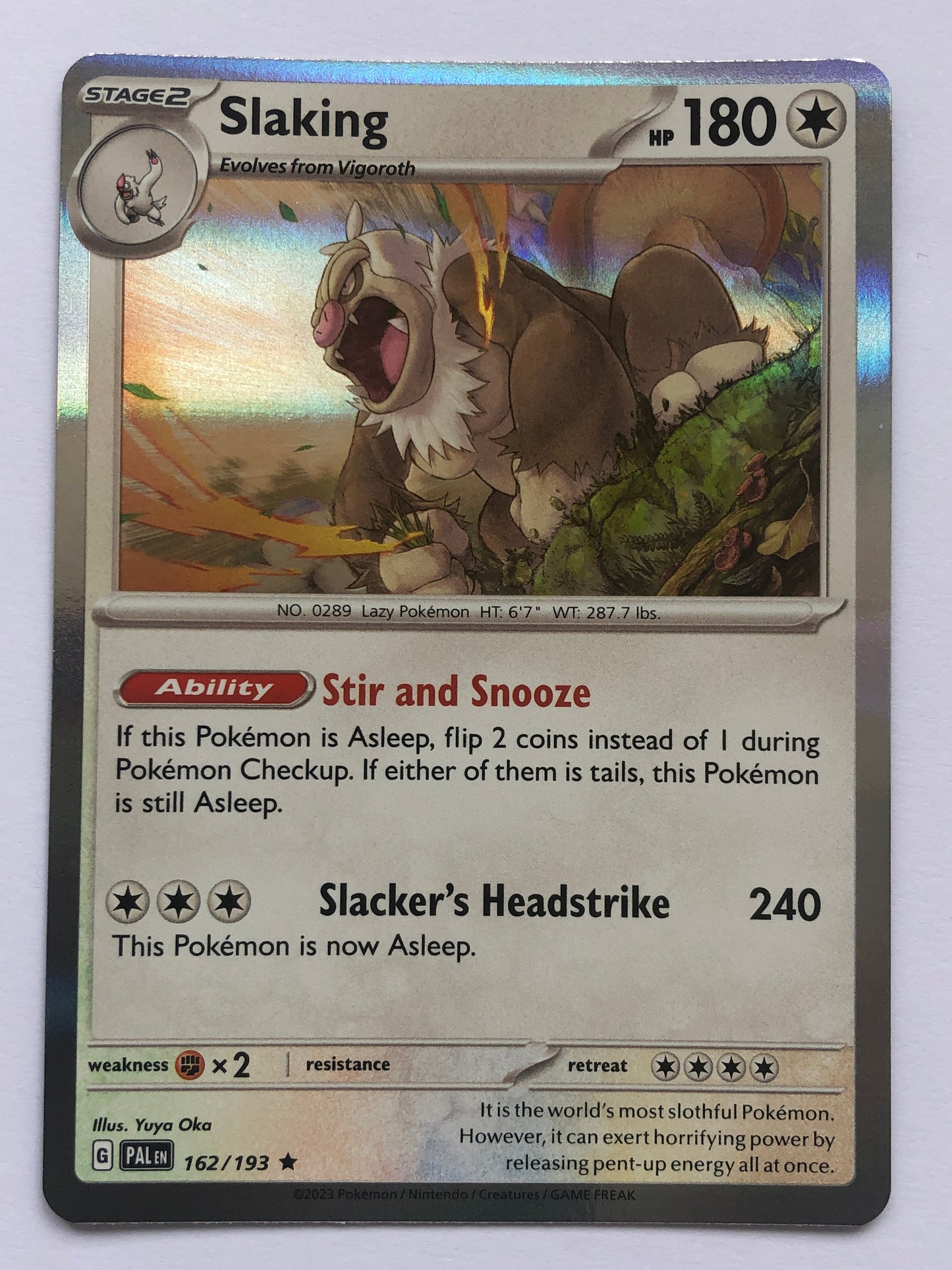 162 - Slaking - Holo