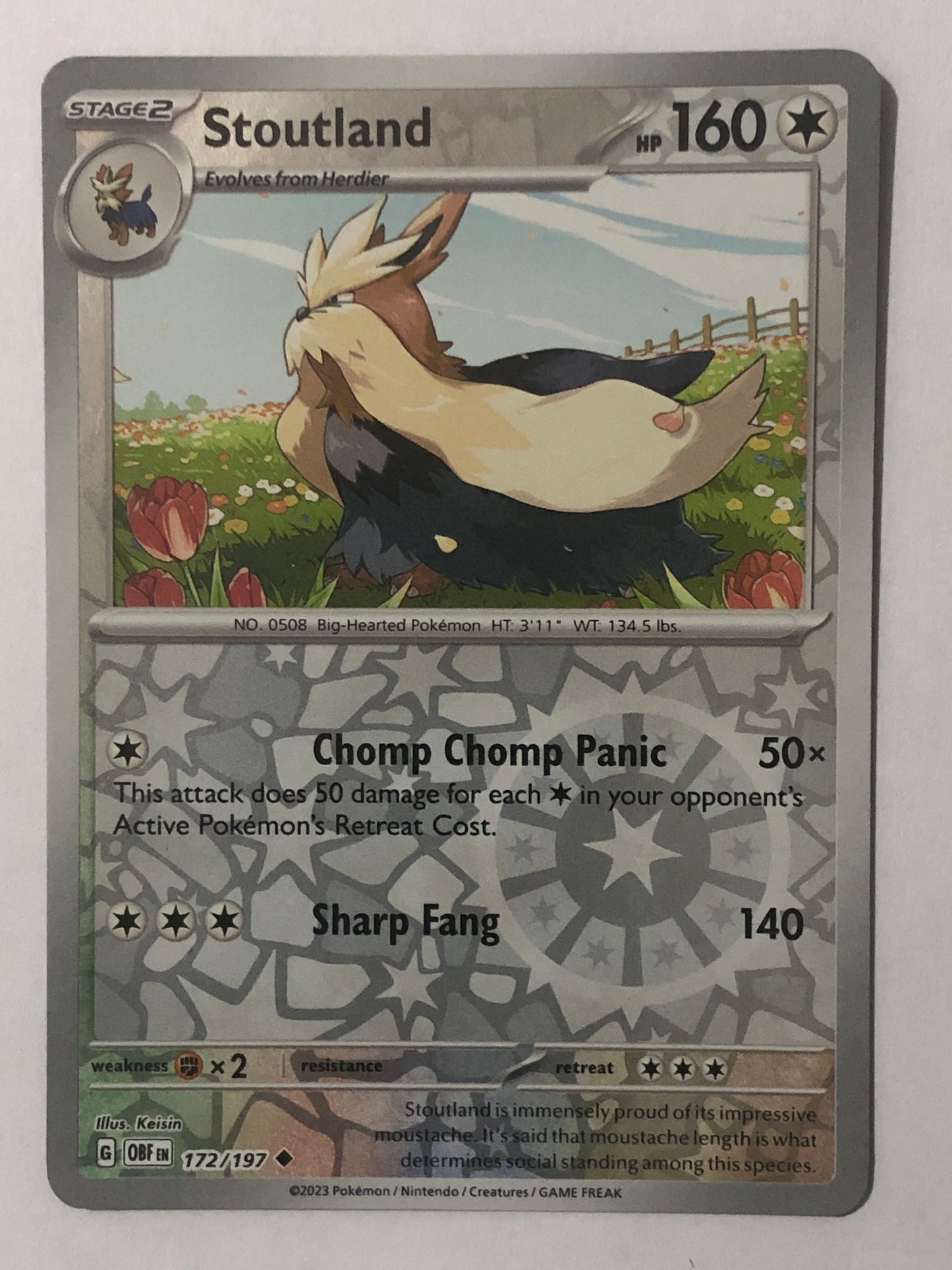 172 - Stoutland - Reverse Holo