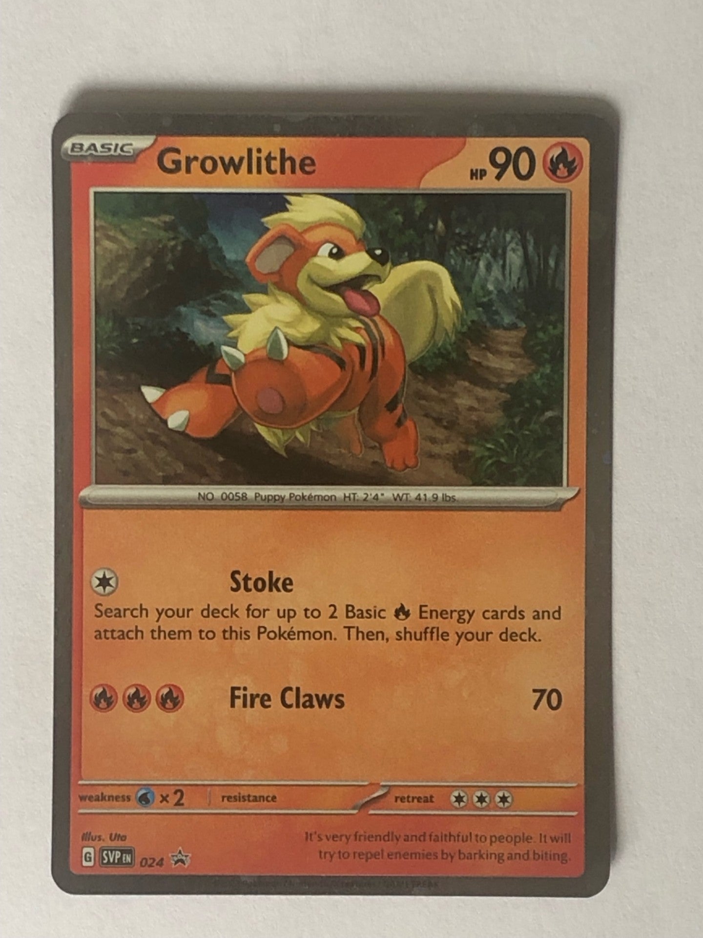 024 - Growlithe
