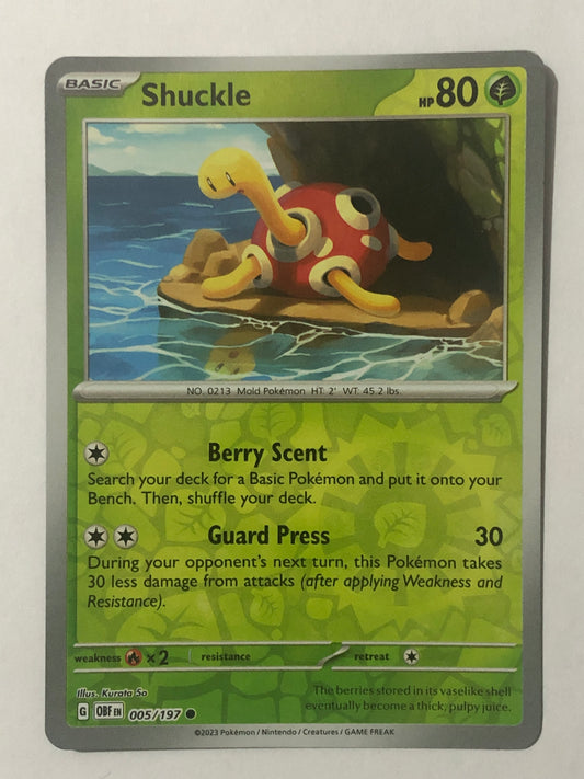 005 -  Shuckle - Reverse Holo