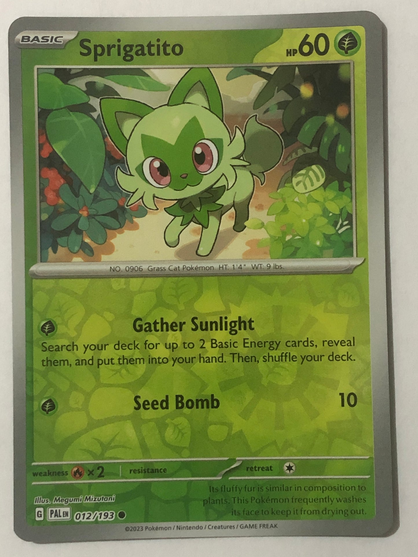 012 - Sprigatito - Reverse Holo