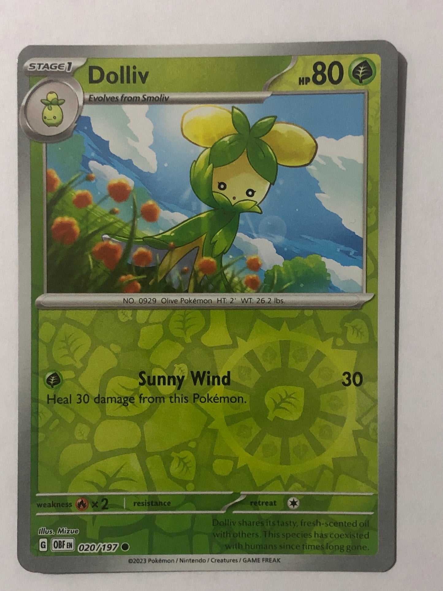 020 -  Dolliv - Reverse Holo