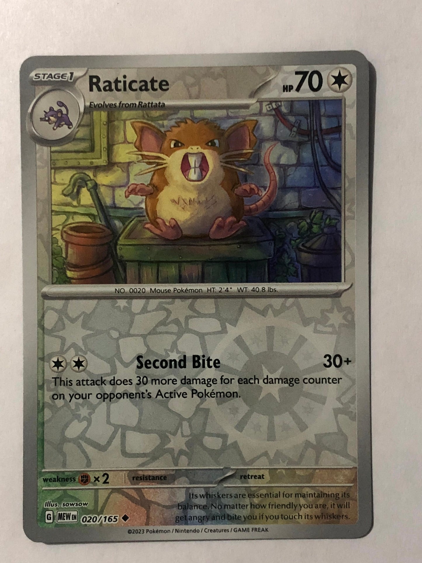 020 - Raticate - Reverse Holo