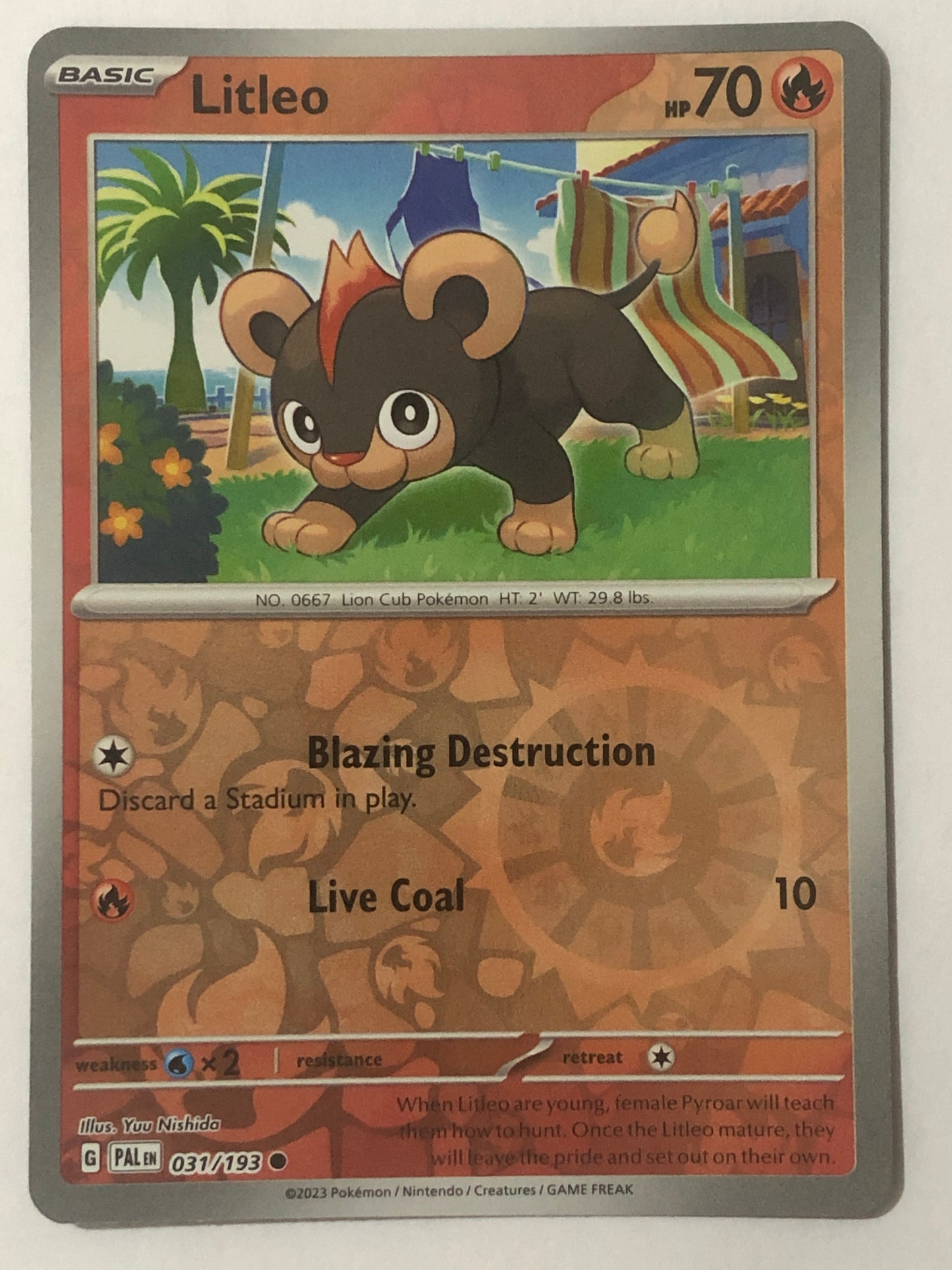 031 - Litleo - Reverse Holo