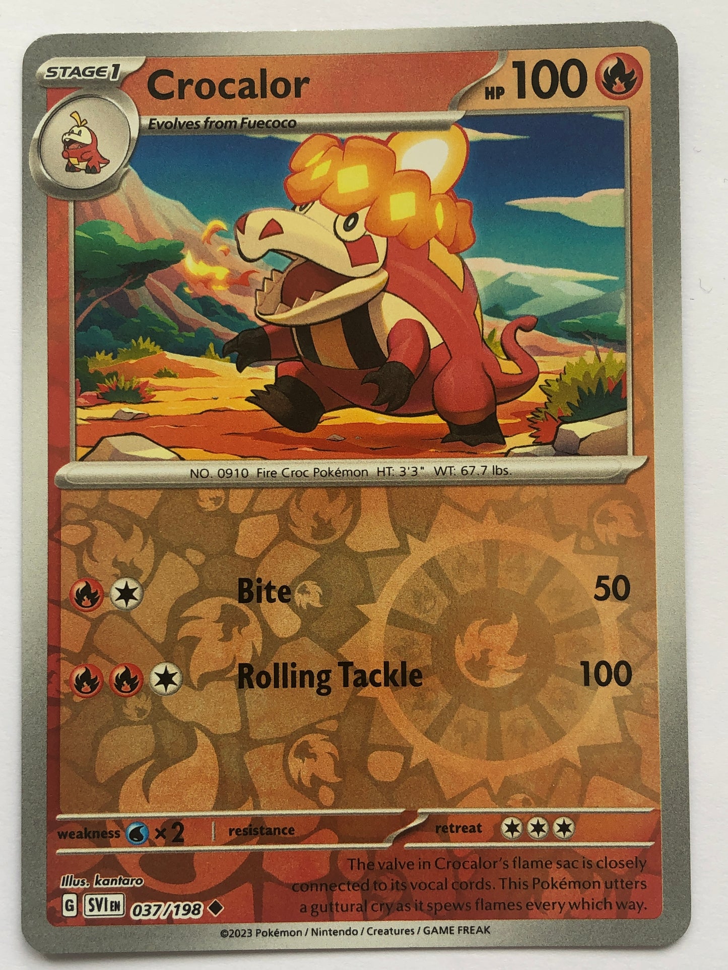 037 - Crocalor - Reverse Holo
