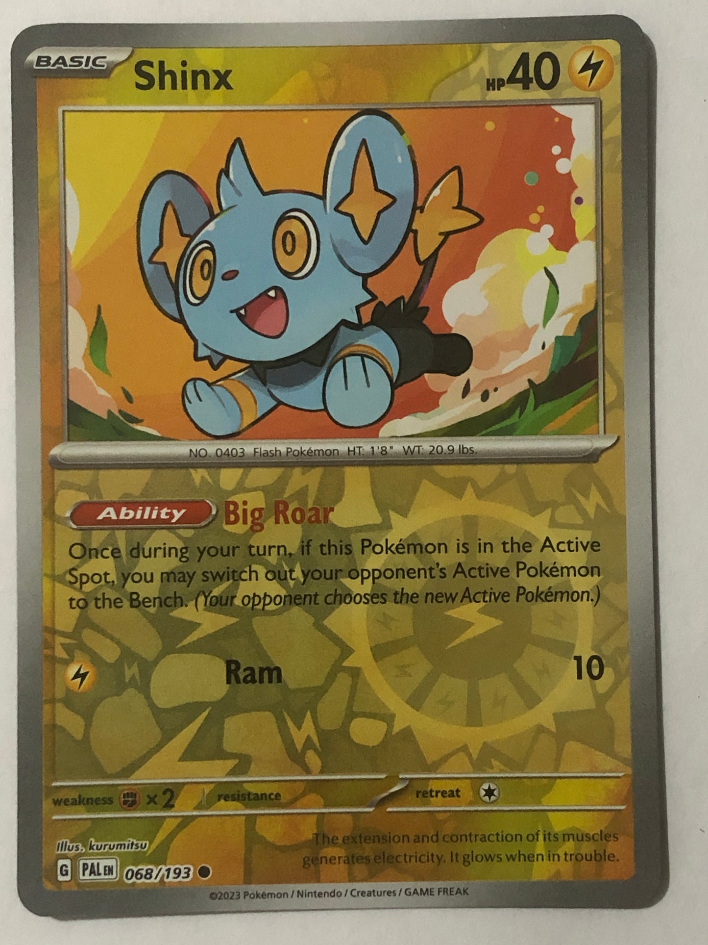 068 - Shinx - Reverse Holo