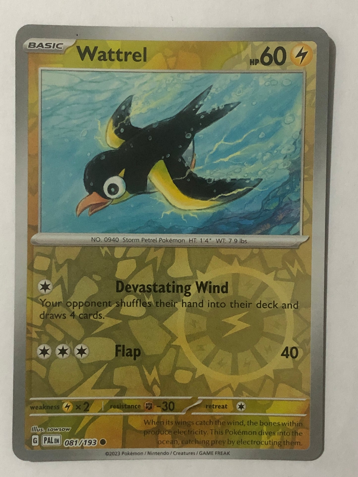 081 - Wattrel - Reverse Holo