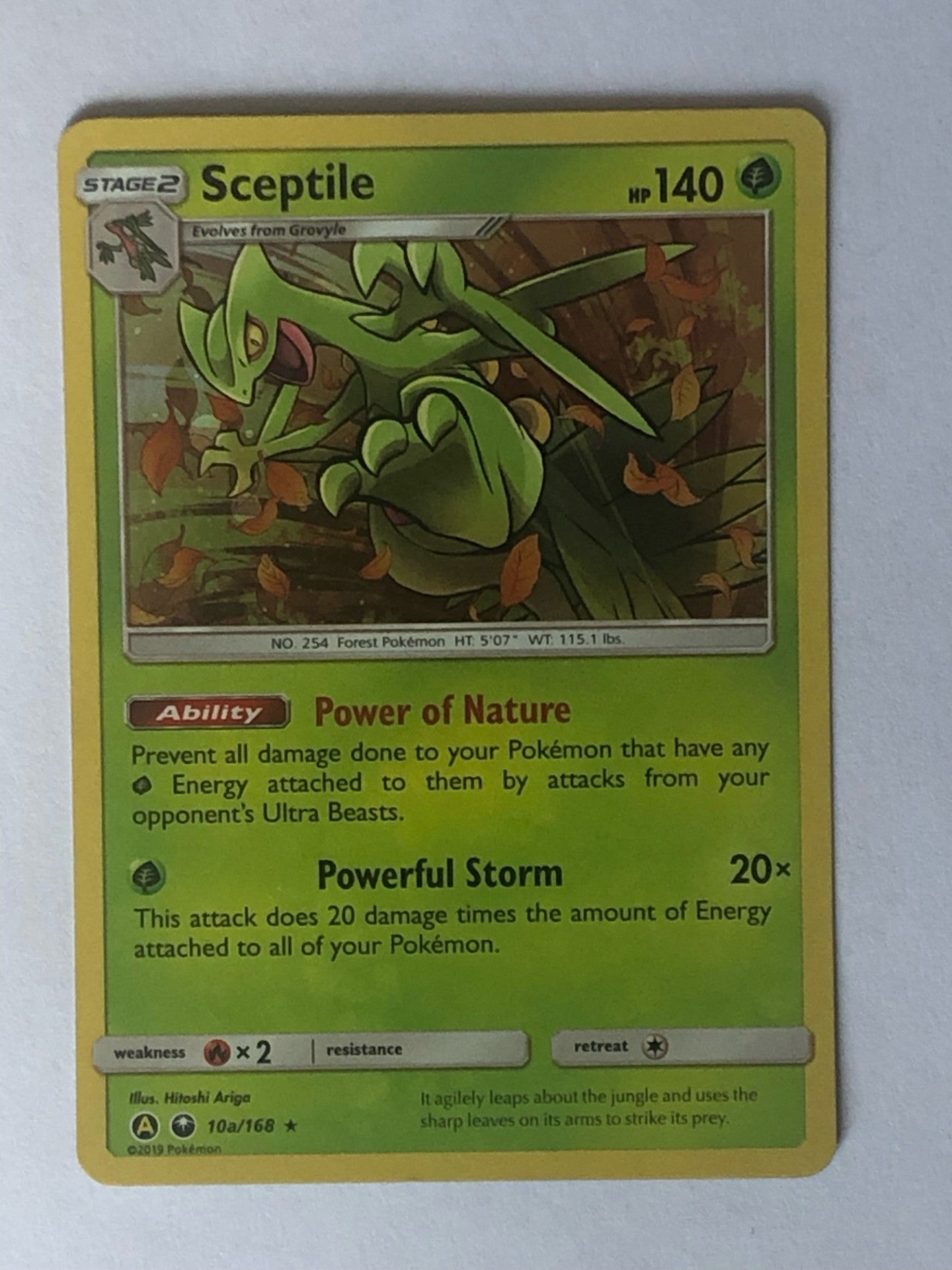 10 - Sceptile - Alternative Art