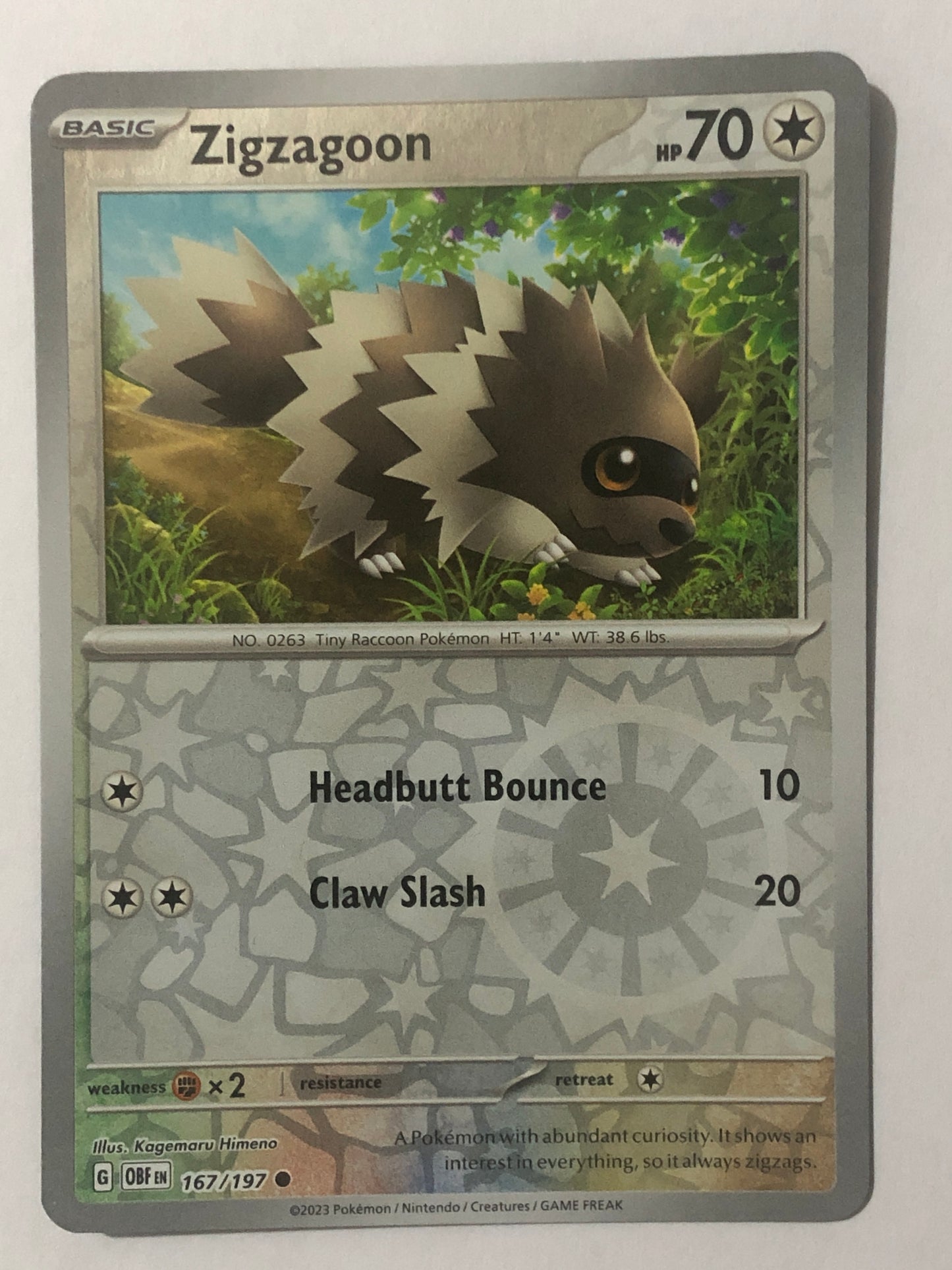 167 - Zigzagoon - Reverse Holo