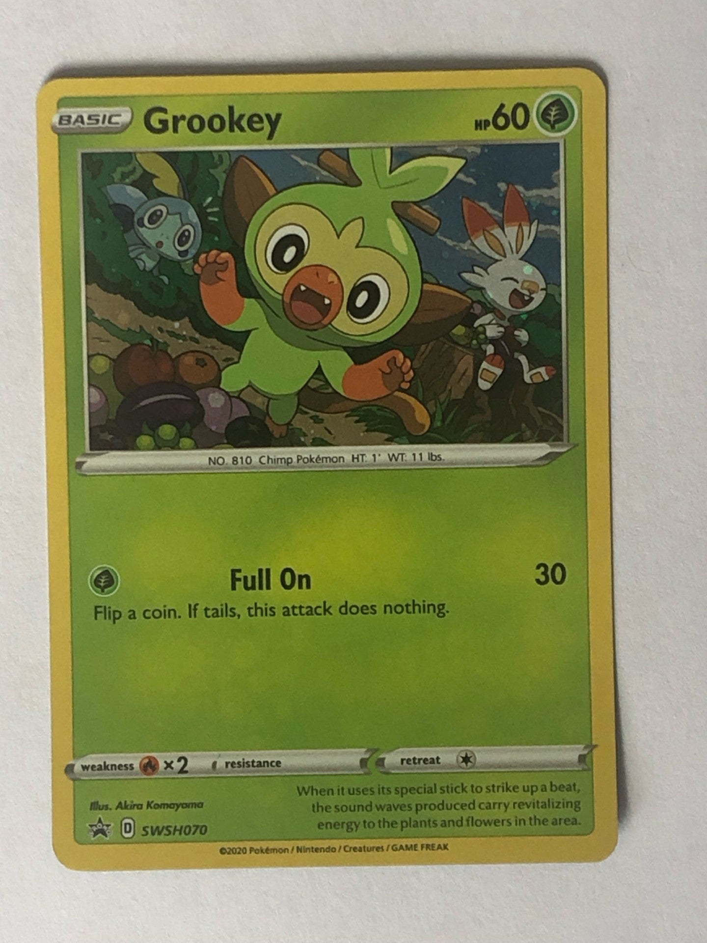 070 - Grookey