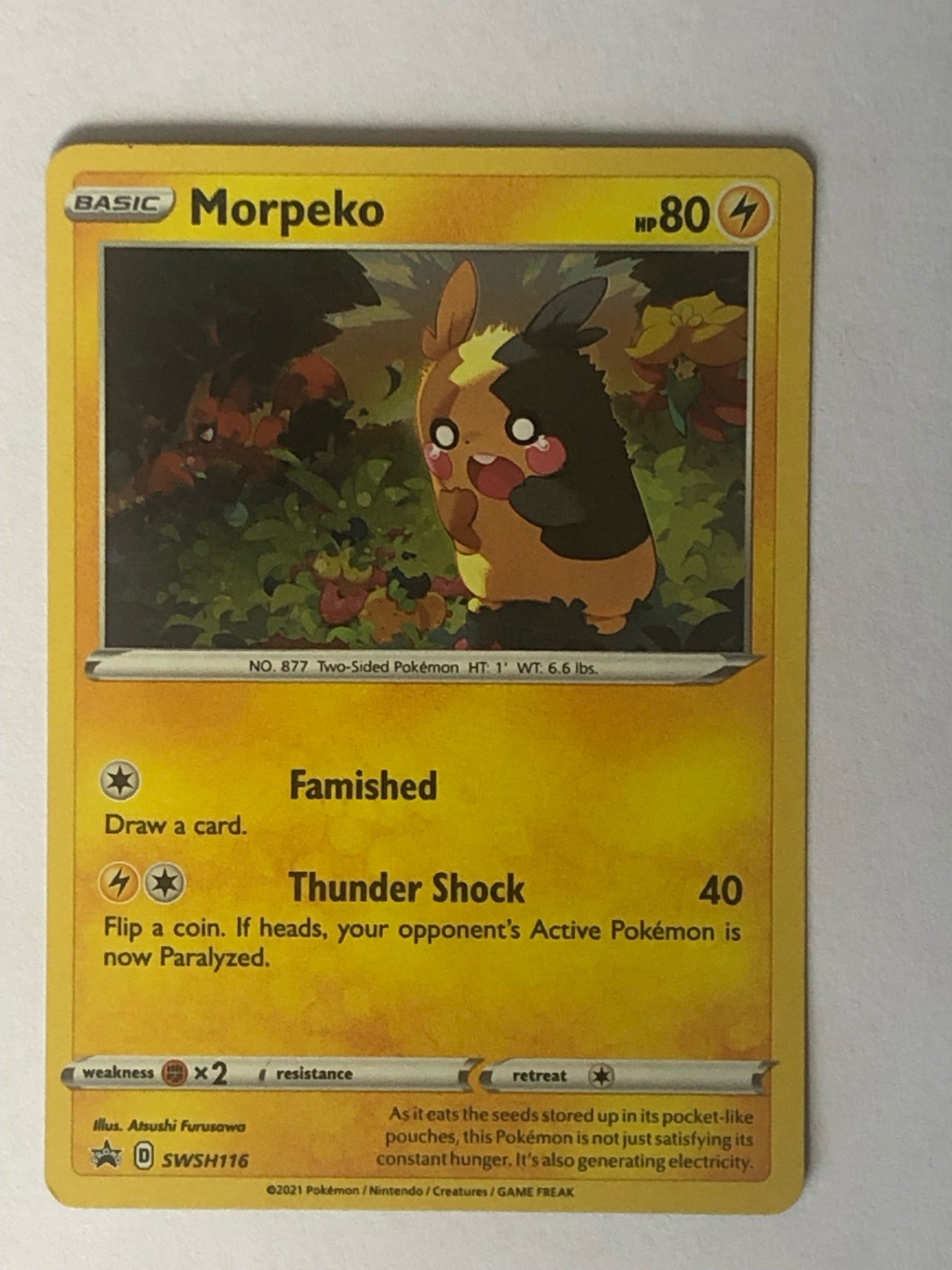 116 - Morpeko